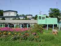 公園展示遠景