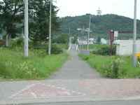 風雲橋